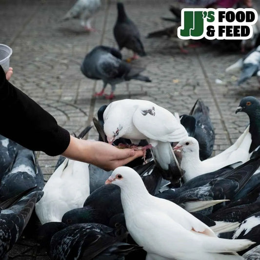 Eurital Vital Grit Multi Mineral Taubengrit