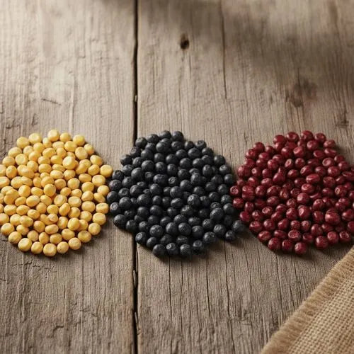 corn