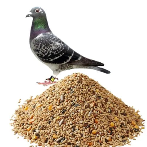 Moulting feed