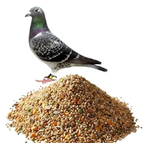 compound feed