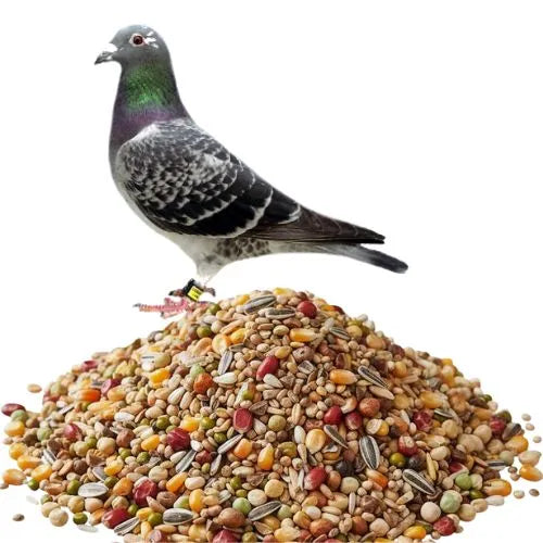 breeding feed