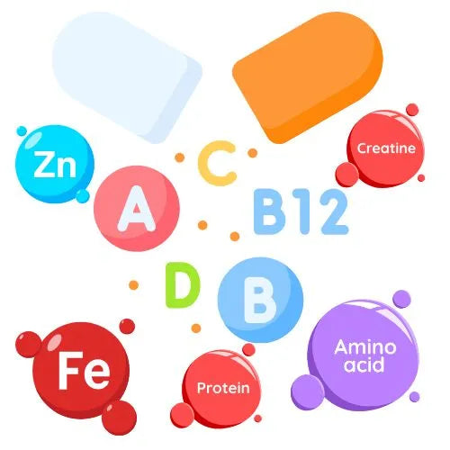 Immunsystem & Abwehr