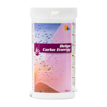 De Weerd Belga Carbo Energy 300 g