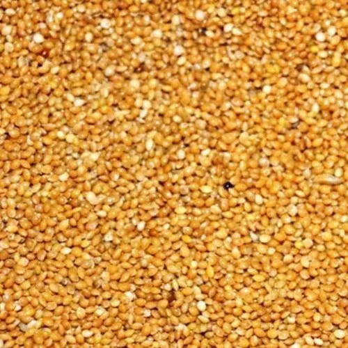 Eurital Eurital Hirse Gelb 5 kg - Animals & Pet Supplies > Pet Supplies > Bird Supplies > Bird Food