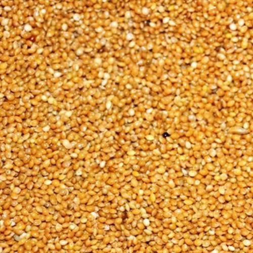 Eurital Hirse Gelb 2,5 kg