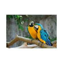 Eurital Eurital Papagei Frucht Mix - Animals & Pet Supplies > Pet Supplies > Bird Supplies > Bird Food Einzelfuttermittel