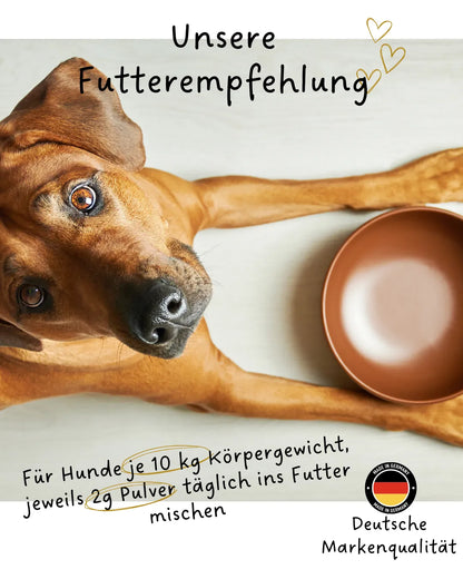 Riolino FreshBite – Natürliche Zahnpflege für Hunde