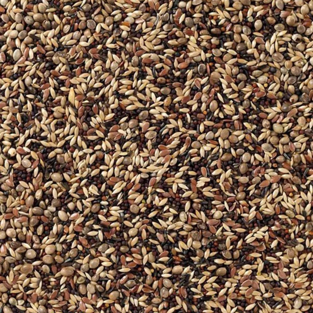 Deli Nature Deli Nature Nr. 48 Zeisige & Stieglitze 20 kg - Animals & Pet Supplies > Pet Supplies > Bird Supplies > Bird Food