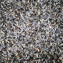 Eurital Nigersaat Einzelfutter Ölreich Vogelfutter