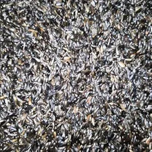 Eurital Eurital Nigersaat Einzelfutter Ölreich Vogelfutter - Animals & Pet Supplies > Pet Supplies > Bird Supplies > Bird Food Einzelfuttermittel