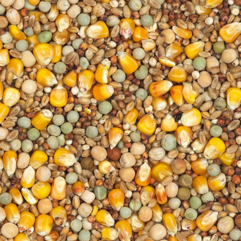 Vanrobaeys Eco / 4 Jahreszeit Spezial