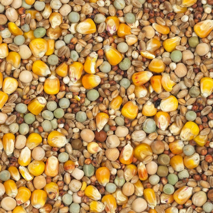 Vanrobaeys Eco / 4 Jahreszeit Spezial