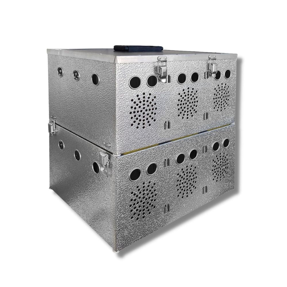 Taubentransportkorb Aluminium-Transportkorb zweistöckig 6-Fächer