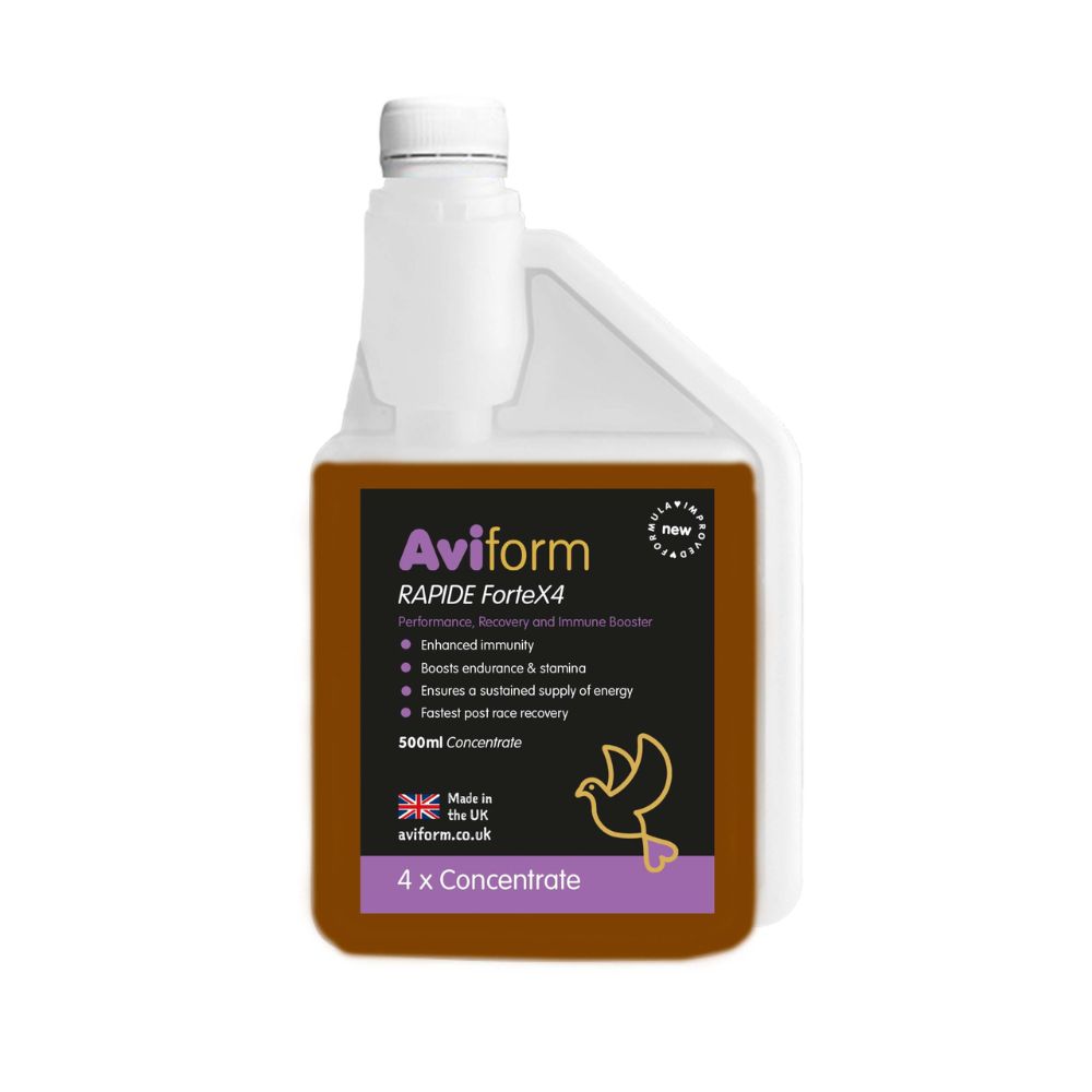 Aviform Rapide Forte X4 500ml - 4 fach konzentriert