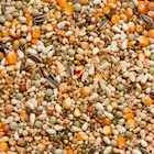Beyers Belgium BEYERS Prange Grand Prix 25kg - Animals & Pet Supplies > Pet Supplies > Bird Supplies > Bird Food Einzelfuttermittel