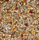 Beyers Belgium BEYERS SPORT ENERGY GALAXY 20kg - Animals & Pet Supplies > Pet Supplies > Bird Supplies > Bird Food Einzelfuttermittel