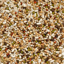 Beyers Belgium BEYERS Zoontjens Basis Gelb 25kg - Animals & Pet Supplies > Pet Supplies > Bird Supplies > Bird Food Einzelfuttermittel