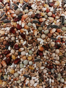 Eurital Eurital BTS Allround Topp Taubenfutter 5 kg 18 Komponenten - Animals & Pet Supplies > Pet Supplies > Bird Supplies > Bird Food Ergänzungsfuttermittel