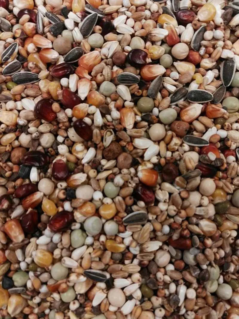 Eurital Eurital BTS Allround Topp Taubenfutter 5 kg 18 Komponenten - Animals & Pet Supplies > Pet Supplies > Bird Supplies > Bird Food Ergänzungsfuttermittel