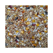 BTS Spar Edition 25kg