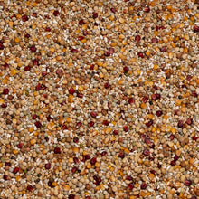 Beyers Belgium Beyers Zucht Galaxy 20kg - Animals & Pet Supplies > Pet Supplies > Bird Supplies > Bird Food