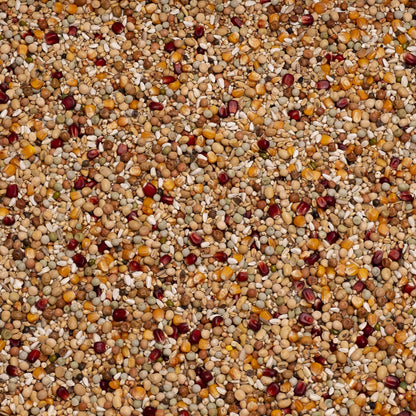 Beyers Belgium Beyers Zucht Galaxy 20kg - Animals & Pet Supplies > Pet Supplies > Bird Supplies > Bird Food