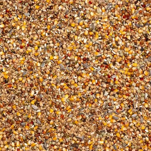 Beyers Belgium Beyers Olympia 53 - Zucht & Mauser 20kg - Animals & Pet Supplies > Pet Supplies > Bird Supplies > Bird Food