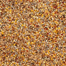 Beyers Belgium Beyers Olympia 53 - Zucht & Mauser 20kg - Animals & Pet Supplies > Pet Supplies > Bird Supplies > Bird Food