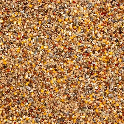 Beyers Belgium Beyers Olympia 53 - Zucht & Mauser 20kg - Animals & Pet Supplies > Pet Supplies > Bird Supplies > Bird Food