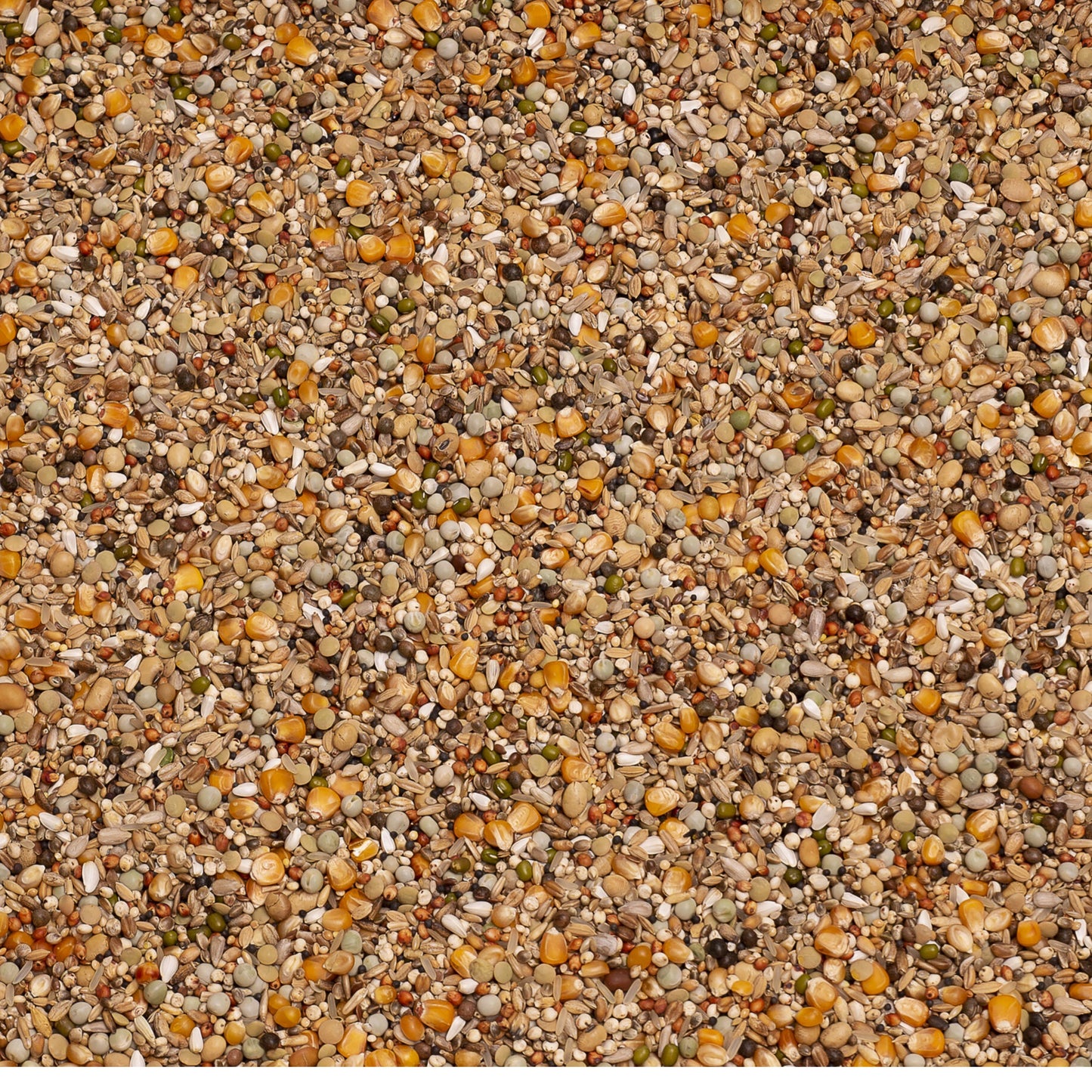 Beyers Premium Brilliant 20kg