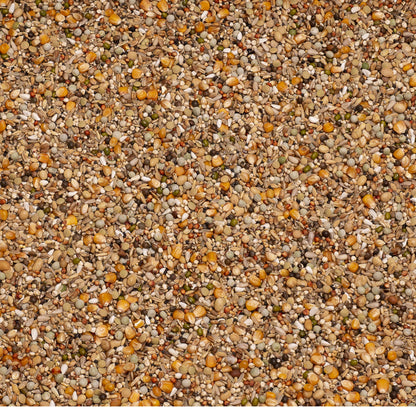 Beyers Premium Brilliant 20kg