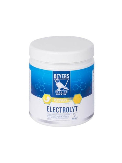 Beyers Elektrolyt 500g