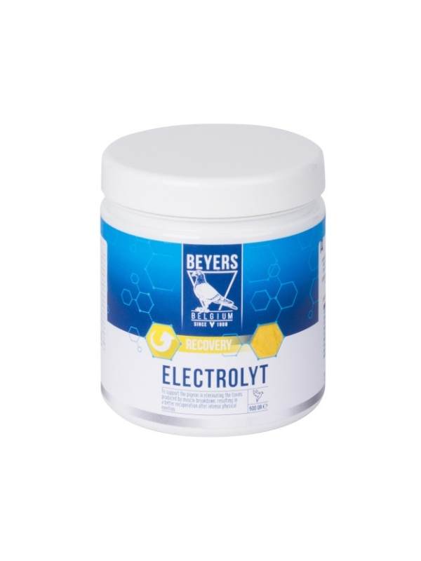 Beyers Elektrolyt 500g