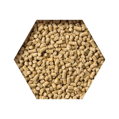 Beyers Belgium Beyers Goldcorn Koopman 2,5kg - Animals & Pet Supplies > Pet Supplies > Bird Supplies > Bird Food Einzelfuttermittel