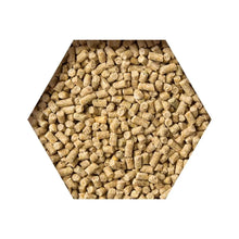 Beyers Belgium Beyers Goldcorn Koopman 2,5kg - Animals & Pet Supplies > Pet Supplies > Bird Supplies > Bird Food Einzelfuttermittel