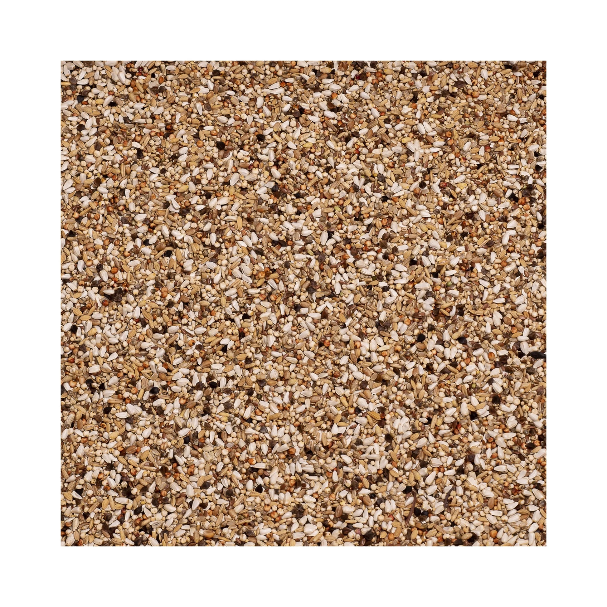 Beyers Belgium BEYERS - Premium Hi-Digest Energy 20kg - Animals & Pet Supplies > Pet Supplies > Bird Supplies > Bird Food Einzelfuttermittel