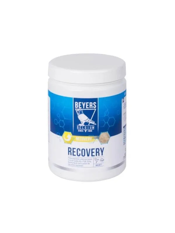 Beyers Belgium Beyers Recovery 600g - Animals & Pet Supplies > Pet Supplies > Bird Supplies > Bird Food Ergänzungsfuttermittel