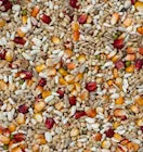 Beyers Belgium Beyers Sport Light Galaxy 20kg - Animals & Pet Supplies > Pet Supplies > Bird Supplies > Bird Food Einzelfuttermittel