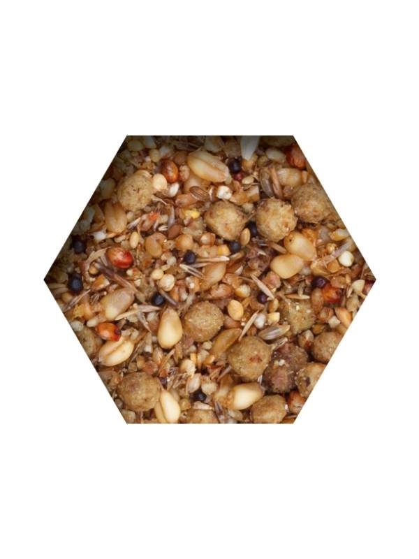 Beyers Tovo Kraft- und Aufzuchtsfutter 2 kg