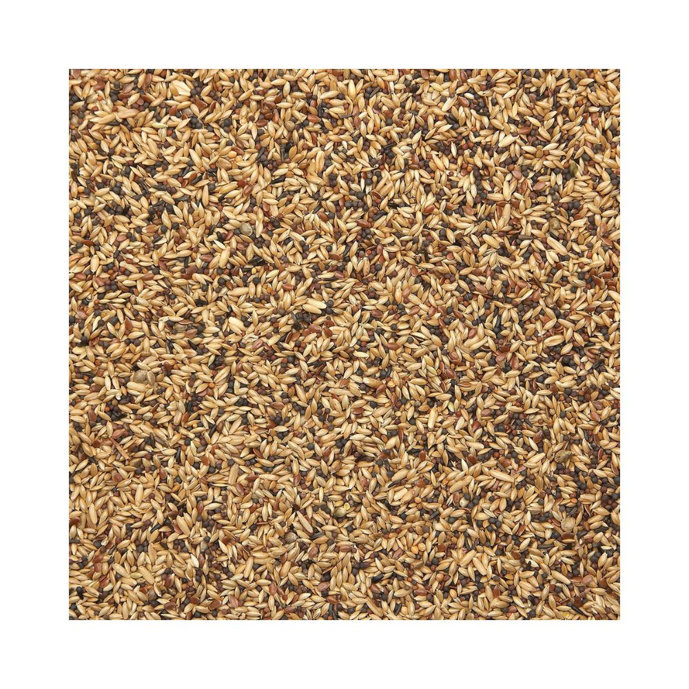 Eurital Kanarien Rübsen Plus