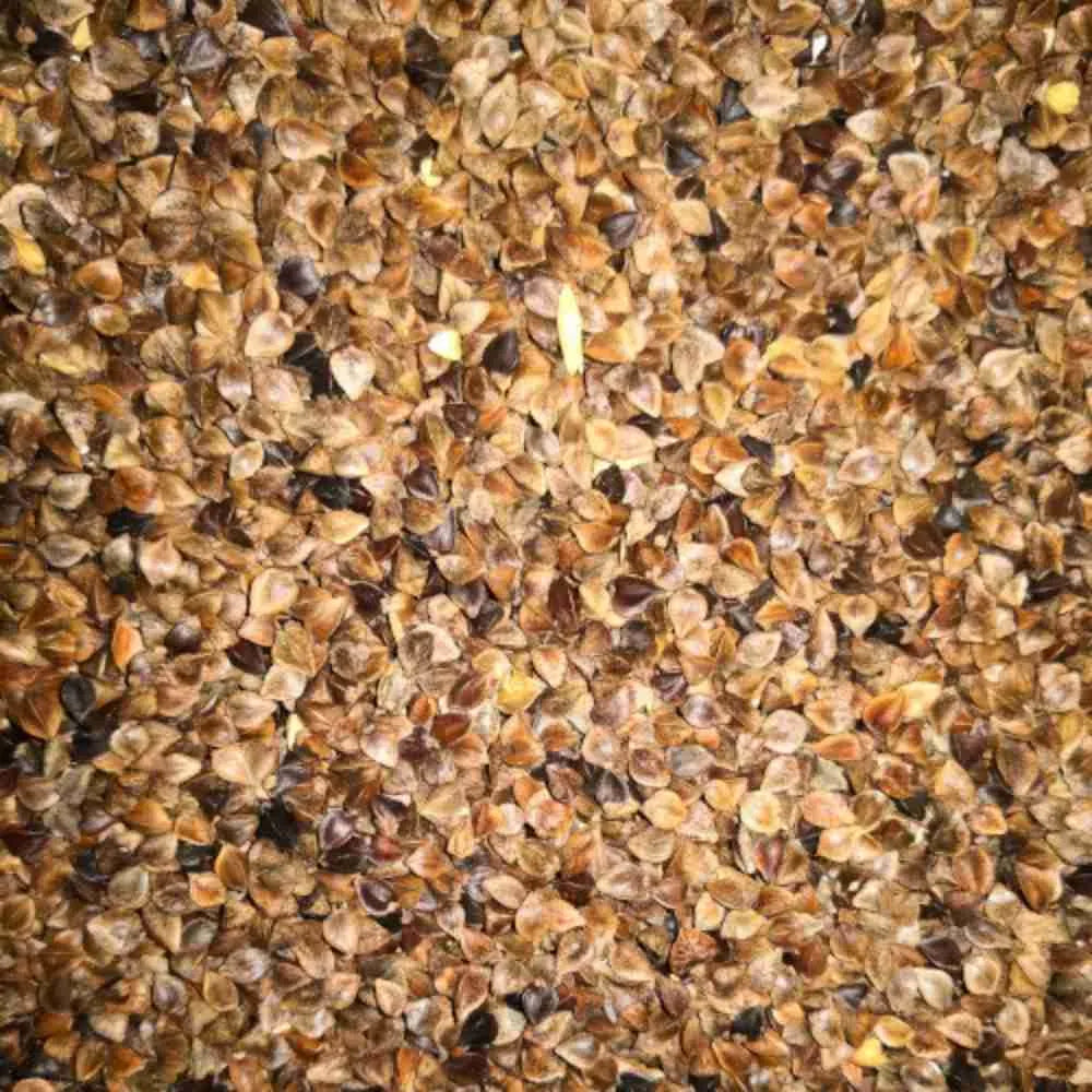 Eurital Eurital Buchweizen 2,5 kg - Animals & Pet Supplies > Pet Supplies > Bird Supplies > Bird Food