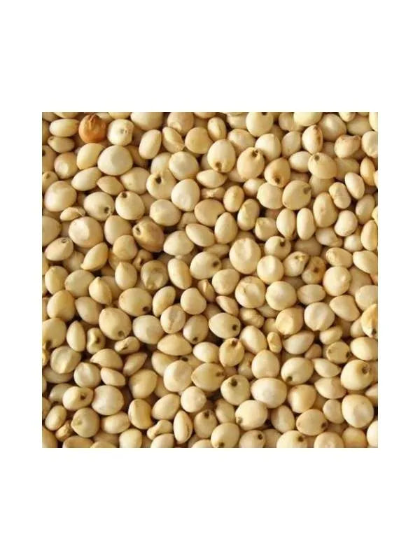 Eurital Eurital Dari weiß 2,5 kg - Animals & Pet Supplies > Pet Supplies > Bird Supplies > Bird Food