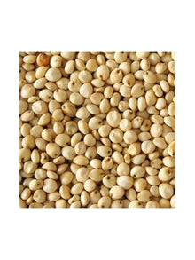 Eurital Dari weiß 5 kg