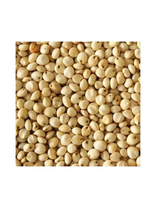 Eurital Eurital Dari weiß 5 kg - Animals & Pet Supplies > Pet Supplies > Bird Supplies > Bird Food