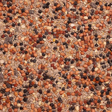 Deli Nature Deli Nature Deluxe Mix 2,5kg - Animals & Pet Supplies > Pet Supplies > Bird Supplies > Bird Food