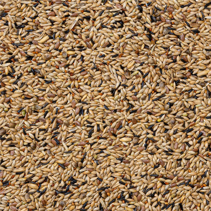 Deli Nature Nr. 80  - Kanarien ohne Rübsen 20kg