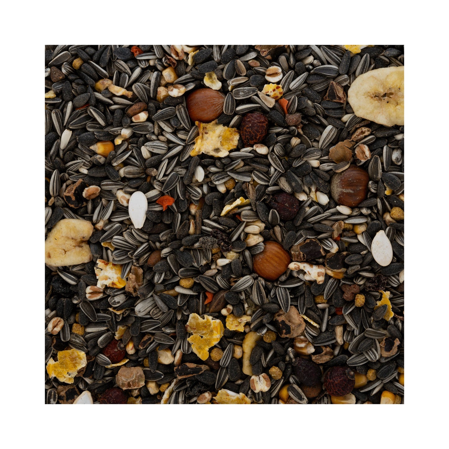 Deli Nature Premium Eichhörnchen 12,5kg