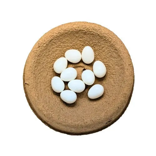 Eurital Natural Nesteier aus Vollkunststoff 1 Stück Tauben - Animals & Pet Supplies > Pet Supplies > Bird Supplies > Bird Cage Accessories