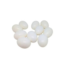 Eurital Natural Nesteier aus Vollkunststoff 1 Stück Tauben - Animals & Pet Supplies > Pet Supplies > Bird Supplies > Bird Cage Accessories