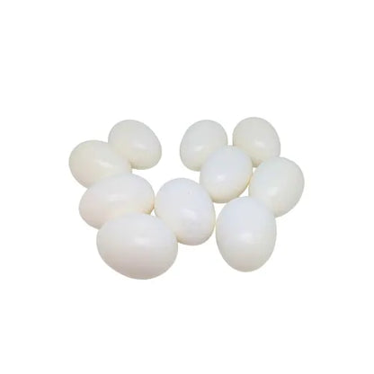 Eurital Natural Nesteier aus Vollkunststoff 1 Stück Tauben - Animals & Pet Supplies > Pet Supplies > Bird Supplies > Bird Cage Accessories